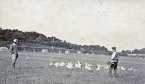 Our Game Farm circa 1920's Our Game Farm circa 1920's